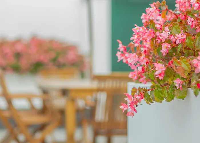 Comercial Boutique Guest House